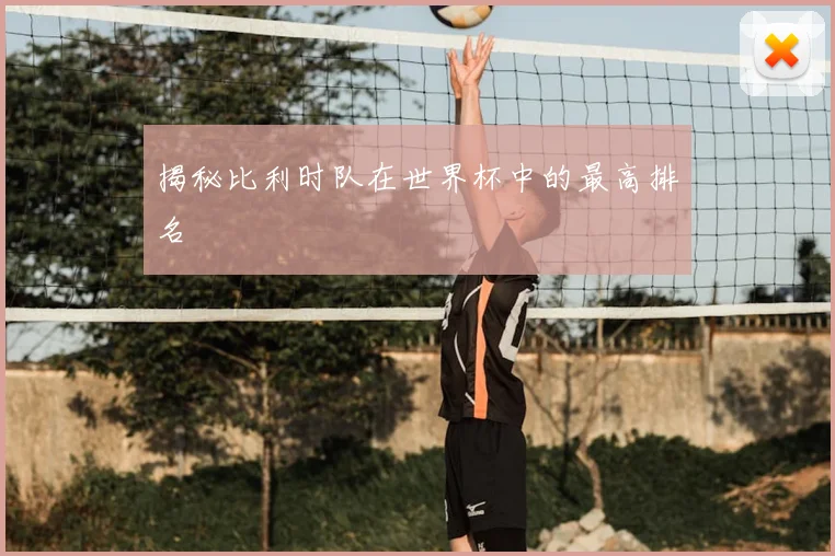 揭秘比利时队在世界杯中的最高排名